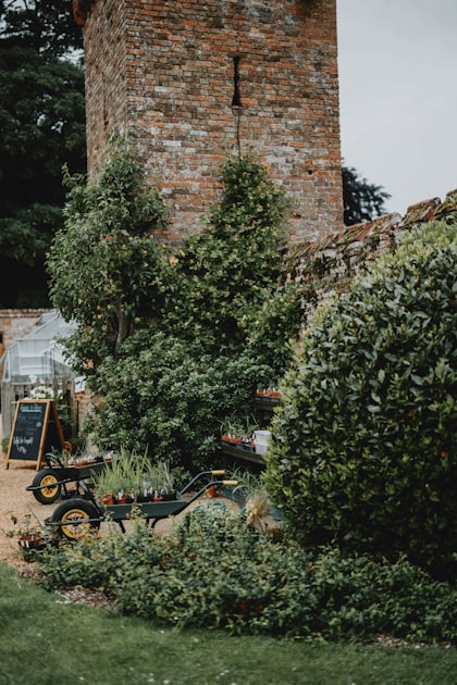 How to Start a Community Garden