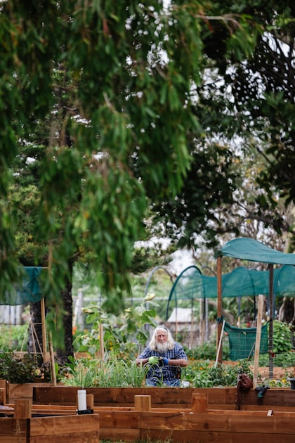Benefits of Urban Green Spaces