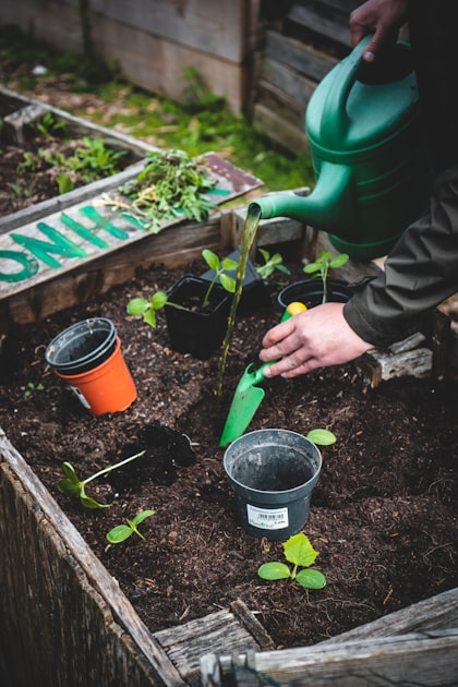 Sustainable Gardening Practices